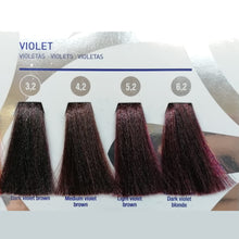 Cargar imagen en el visor de la galería, Tintes Vplex Violetas y Negros especiales