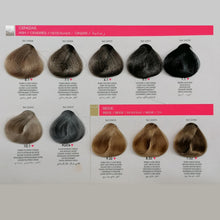 Carregar imagem no visualizador da galeria, Tintas borlas ASHES e BEIGE 100ml